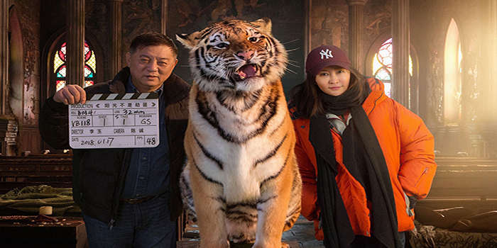 电影投资:马丽“劫匪团”勇闯黑帮夺老虎,上演传奇冒险故事 电影投资:马丽“劫匪团”勇闯黑帮夺老虎,上演传奇冒险故事
